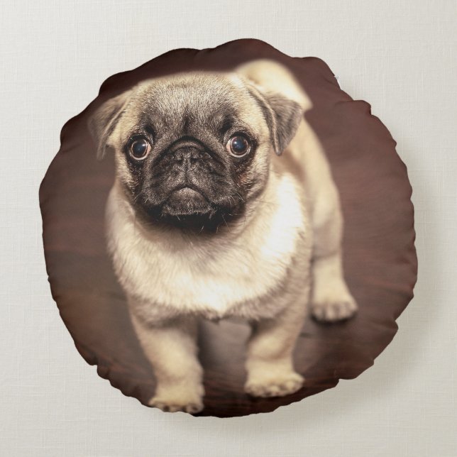 Lovely Puppy Pug, Dog, Pet, Animal Round Pillow (Back)
