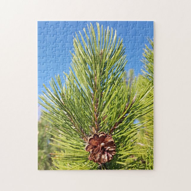 Lovely! Puzzle - Single Pine Cone in Tree (Vertical)