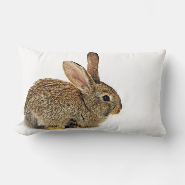 Lovely Rabbit Lumbar Pillow (Front)