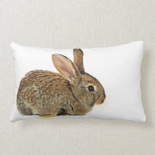 Lovely Rabbit Lumbar Pillow