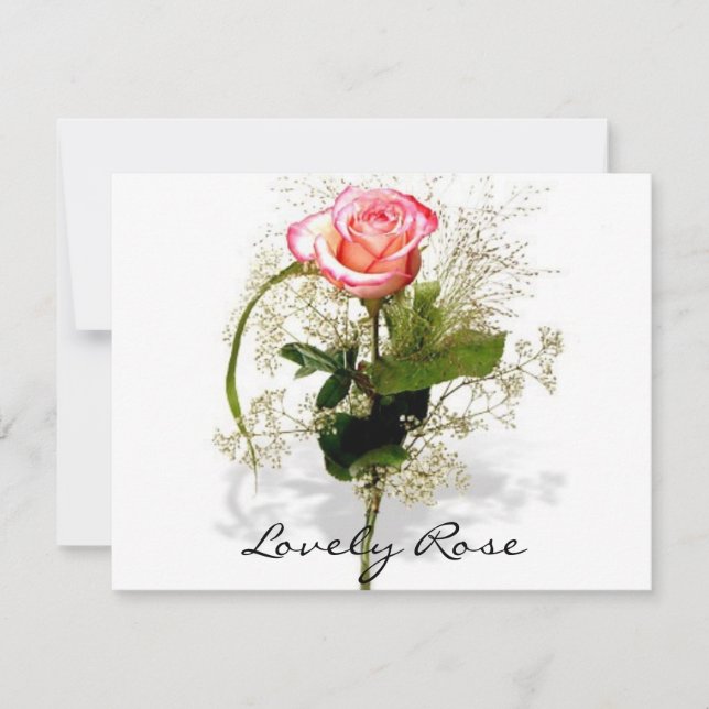 Lovely Rose Collection (Front)