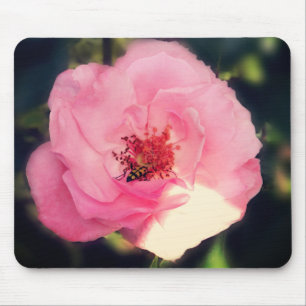 Lovely Rose Flower Photography Mousepad