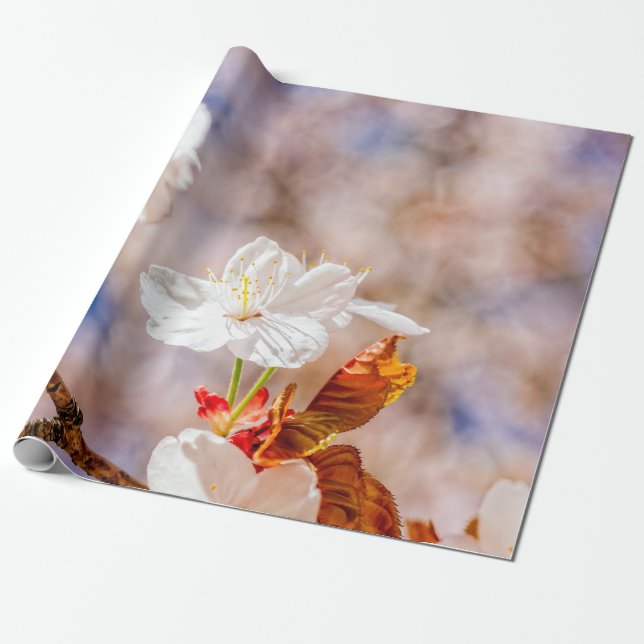 Lovely Sakura Flower On A Sunny Day Wrapping Paper (Unrolled)