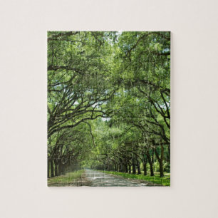 Lovely Savannah Georgia Jigsaw Puzzle