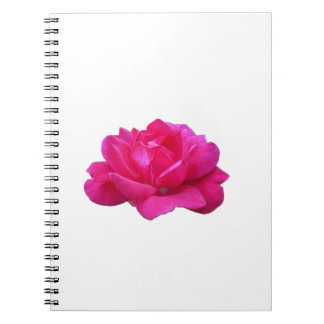lovely single pink rose flower notebook