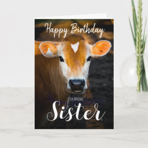 Lovely Sister Happy Birthday Card –Funny Cow Photo