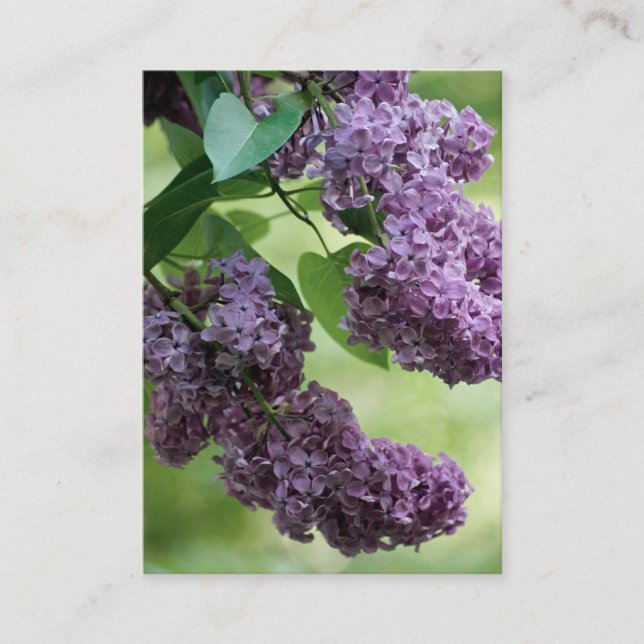 Lovely Spring Mini Print Business Card (Front)