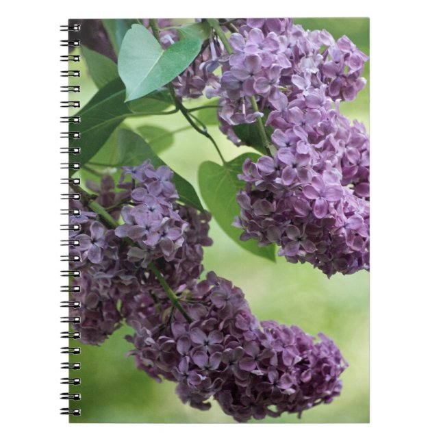 Lovely Spring Notebook (Front)