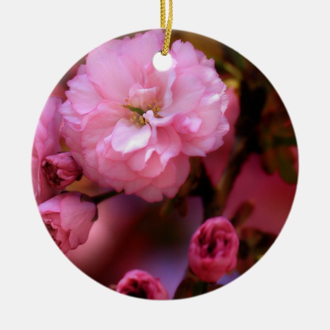 Lovely Spring Pink Cherry Blossoms Ceramic Ornament (Front)