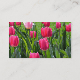 lovely spring pink tulip flowers. garden floral business card