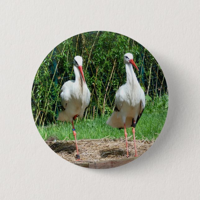 Lovely Stork 2 Inch Round Button (Front)