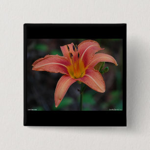 Lovely Tawny Daylily Apparel and Gifts 2 Inch Square Button
