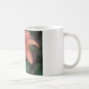 Lovely Tawny Daylily Apparel and Gifts Coffee Mug