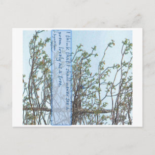Lovely tree postcard