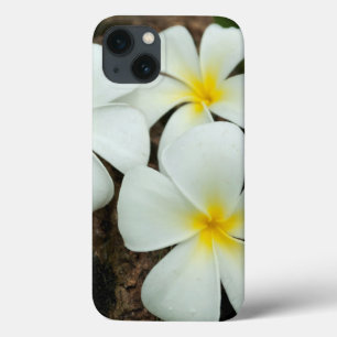 Lovely Tropical Blossoms In The South Pacific iPhone 13 Case