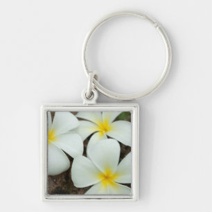 Lovely Tropical Blossoms In The South Pacific Keychain