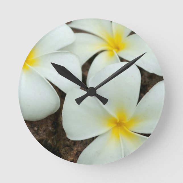 Lovely Tropical Blossoms In The South Pacific Round Clock (Front)