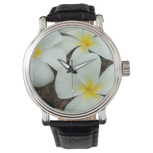 Lovely Tropical Blossoms In The South Pacific Watch