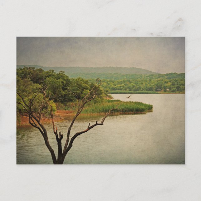 Lovely View at Cedar Hill postcard (Front)