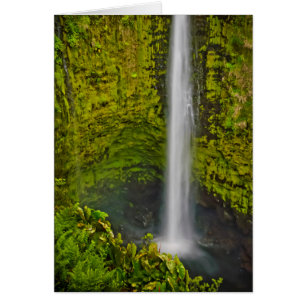 Lovely Waterfalls And Cascades Abound