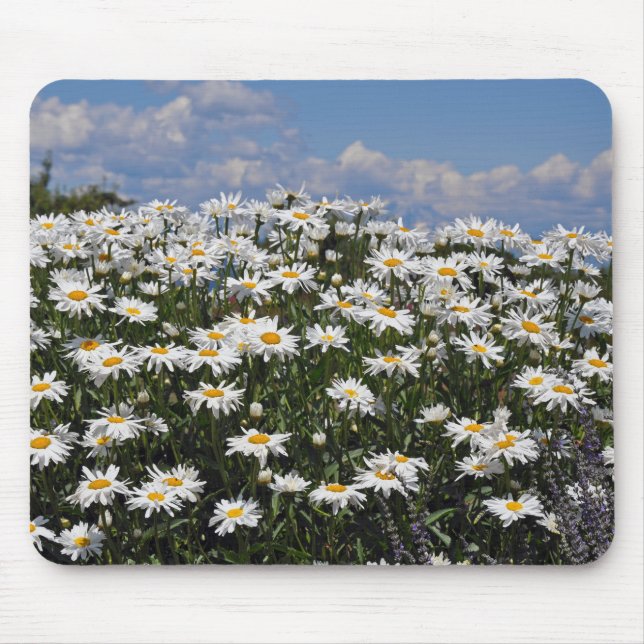 Lovely white daisy garden mouse pad (Front)