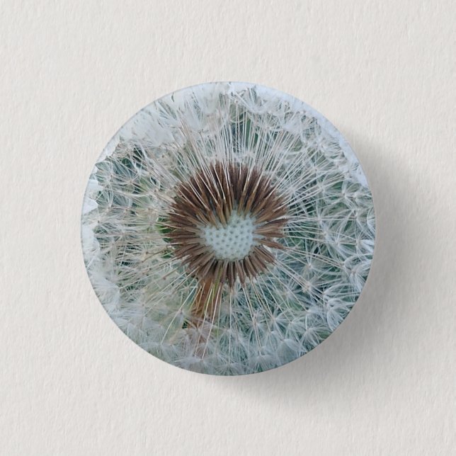 Lovely White Dandelion 1 Inch Round Button (Front)