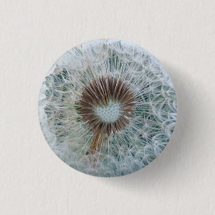 Lovely White Dandelion 1 Inch Round Button