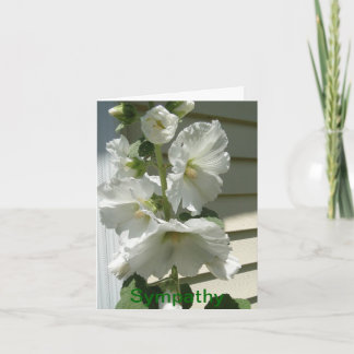 Lovely White Hollyhocks, Sympathy Card