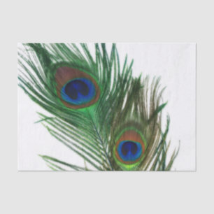 Lovely White Peacock Feather Tissue Paper