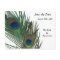 Lovely White Peacock Save the Date