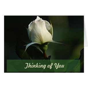 Lovely White Rosebud greeting card