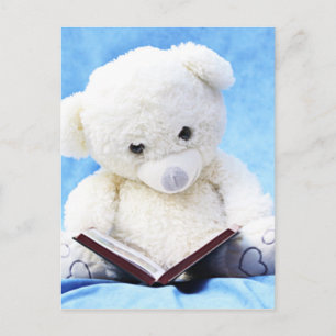 Lovely White Teddy Bear Read Book Postcard