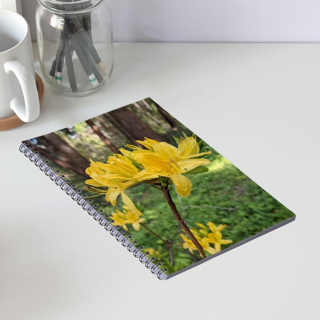 Lovely Yellow Azalea Floral Notebook (In Situ)