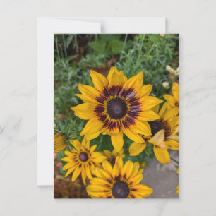 Lovely yellow flowers postcard