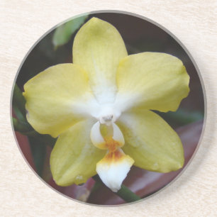 Lovely Yellow Orchid Coaster