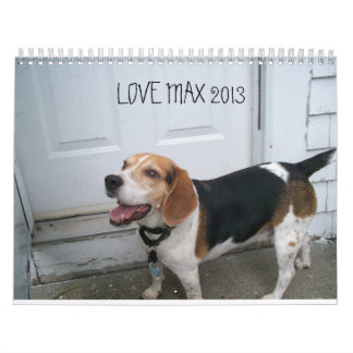 LOVEMAX 2013 CALENDAR