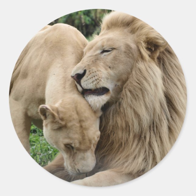 Lover Lions Sticker (Front)