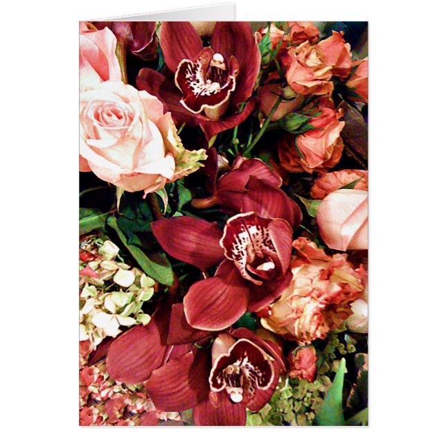 Lover of Orchids_ (Front)