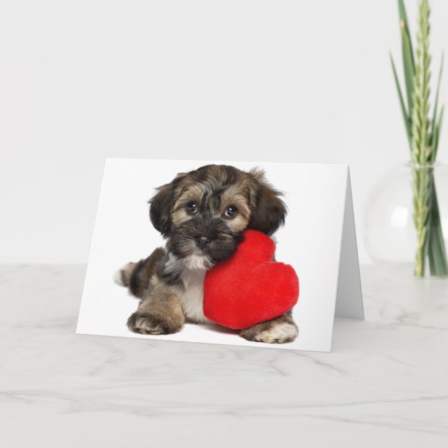 Lover Valentine Havanese Puppy Dog Holiday Card (Front)