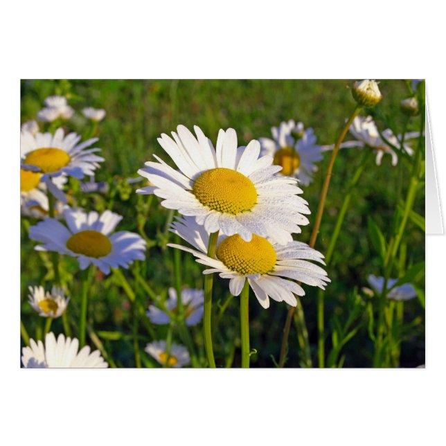 Lovers (Front Horizontal)