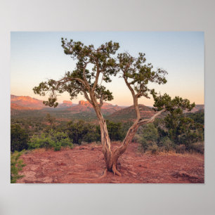 Lovers Knoll Sunset in Sedona Poster