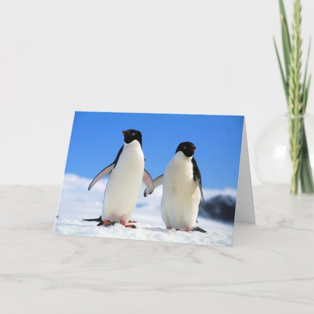 lovers penguins card (Front)