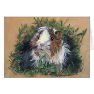Lovin' lavender Guinea Pig / Cavia