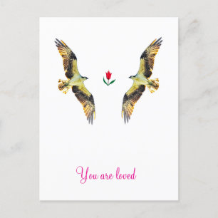 Loving birds. Ospreys  Postcard