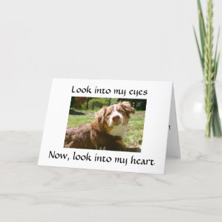 LOVING DOGGIE GIVES DETAILS ON MISSING "YOU" CARD
