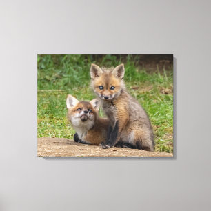 Loving Eyes Canvas Print