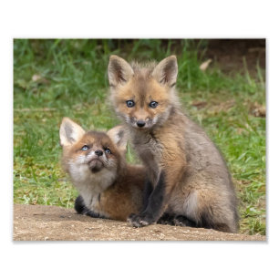 Loving Eyes Photo Print