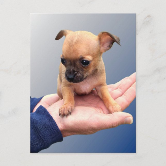 Loving Hands Postcard (Front)