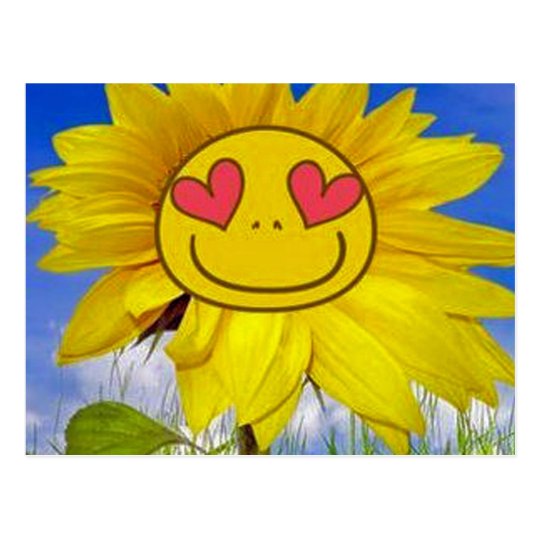 Loving,happy,sunflower,colourful,flower,animated Postcard