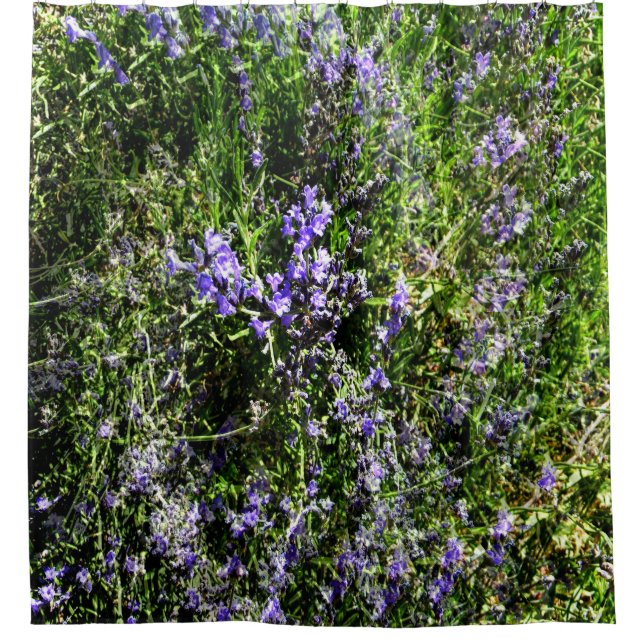 Loving Lavender..... (Front)